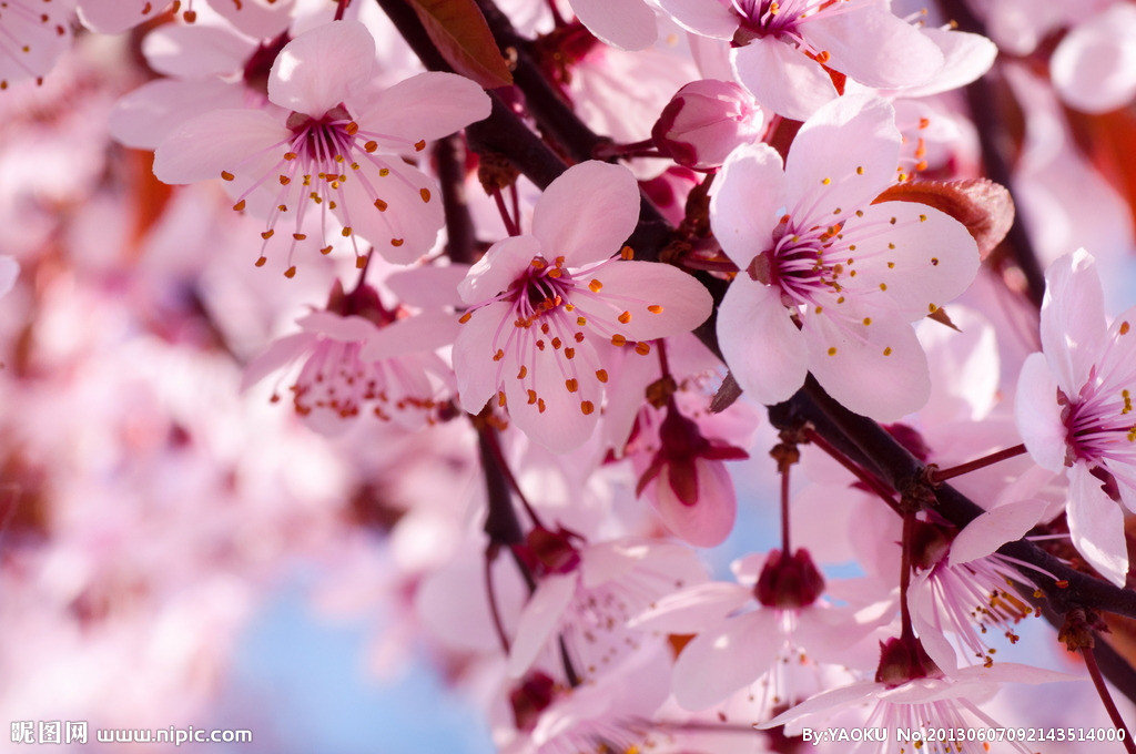 【丁香花開(kāi)】四月，在塵世里拾取幸福（散文）