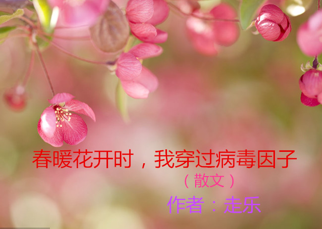 【八一】春暖花開時(shí)，我穿過(guò)病毒因子（散文）