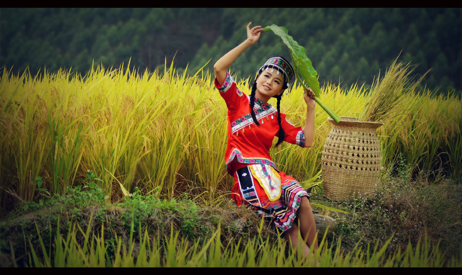 【丁香?祝福祖國(guó)】難忘年年稻花香(散文)