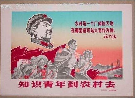【丁香杯】知青家庭，觀后感（影評(píng)）