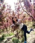 【專欄】等到春風(fēng)吹起，我在花下等你（詩(shī)組）