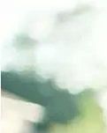 【輕舞】一場花事，美到深處不自知(詩歌)