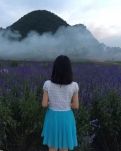 【千村】古文   紅塵過客，誰是知音