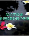 【柳岸】唯恐遺憾瞬然而至（詩歌/外七首）