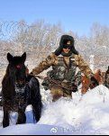 【綠野·雪】飄雪的還珠高閣（外一首）