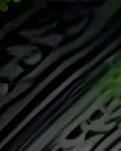 【綠野·春】孤影都是熬燈藏星下（詩歌）