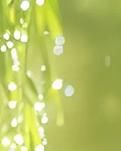 【綠野·春】我們都是這個(gè)春天的神話（詩歌）