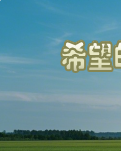 【江山·見證】【心靈】希望的田野（小說）