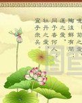 【丁香·花香】寫給我的老師（現(xiàn)代詩歌）