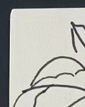 【江山·見證】【流年】得閑畫畫（散文）