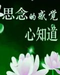【柳岸·見證】【柳岸】初夏又憶親人心（散文）