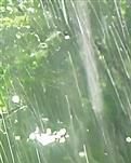 【綠野·夏】我們是被有風(fēng)的詩(shī)和會(huì)雨的遠(yuǎn)方一起期待（詩(shī)歌）