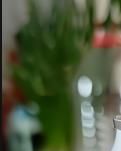 【江山·見證】【曉荷】健力寶（散文）