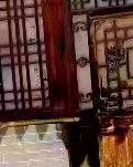 【江山·見證】【流年】夏日拾貝六帖（散文）