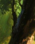 【江山·見證】【曉荷】灶火（散文）