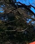 【江山·見證】【心靈】走進(jìn)香山雙清別墅（散文）