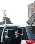 【丹楓】夏日里的尋常（詩歌）