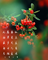 兩地相思，紅豆紅（外二章）