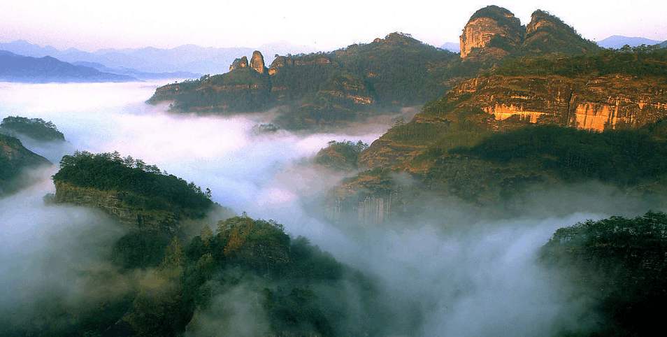 【鳳凰?舞】武夷山之旅——叩問山水，茶中情（散文）