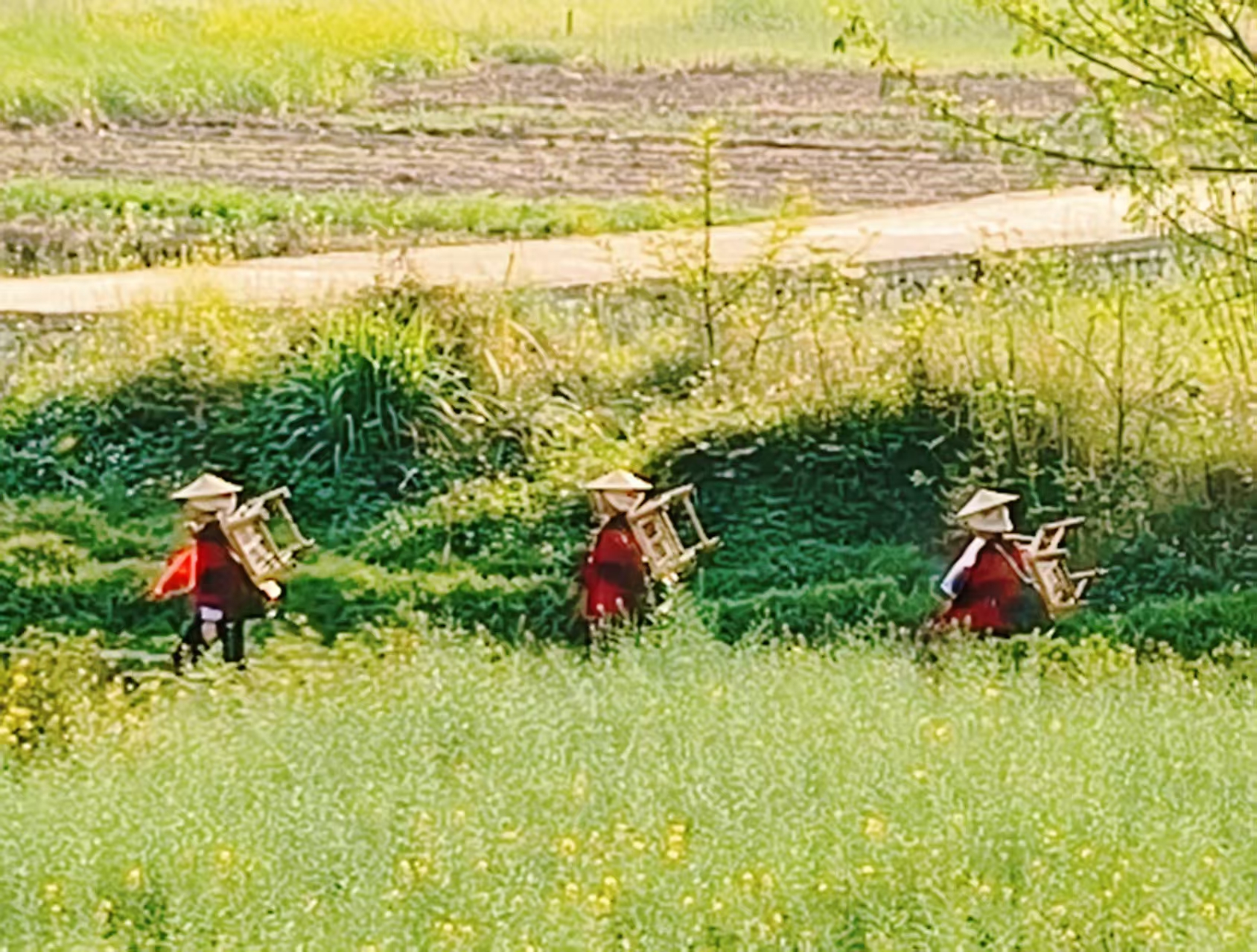 【江山·見證】【寧?kù)o】尋夢(mèng)壩美（散文）