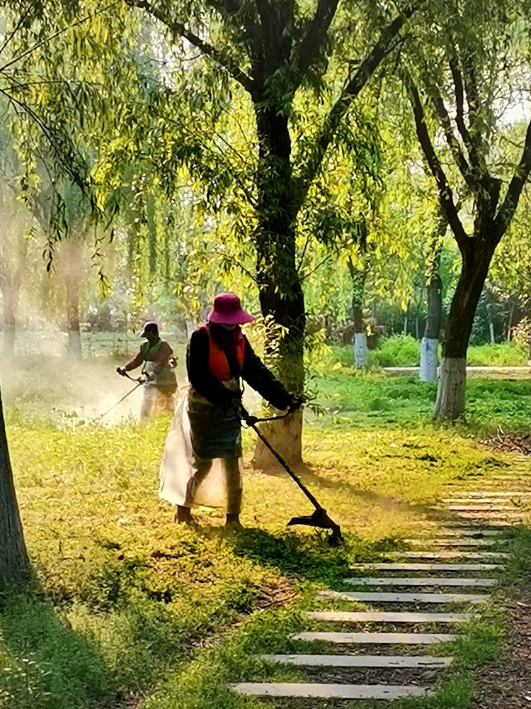 【鳳凰】 一個立過一等戰(zhàn)功的“糧民”（散文）