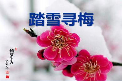 【軍警】落雪，有詩有襲（詩歌）