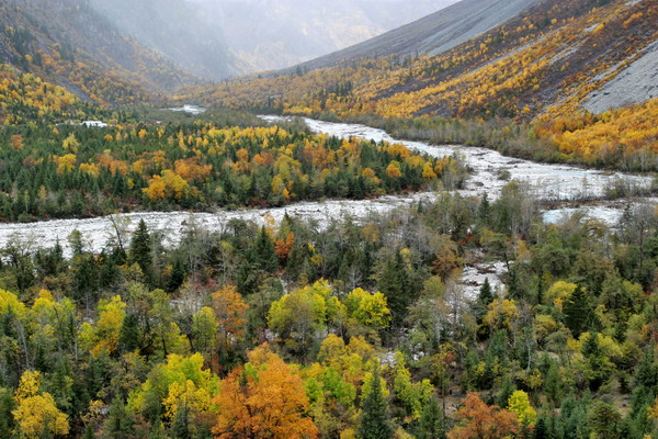 【星月行走】秋聲里，陽(yáng)光掠過(guò)陣地（組詩(shī)）