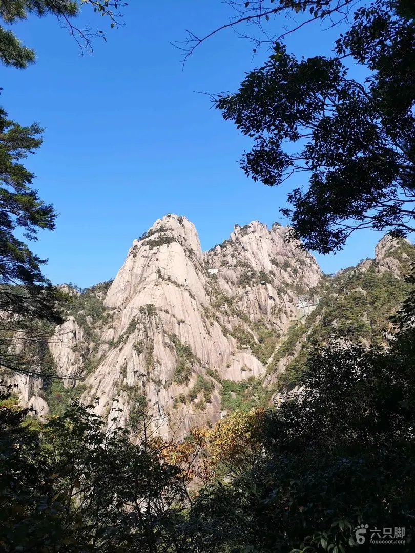 【鳳凰】初探光明峰（散文）