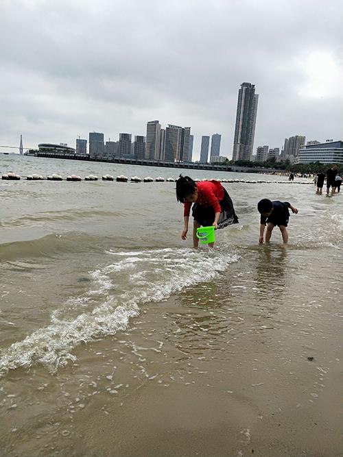 【丁香】外婆的海（散文）