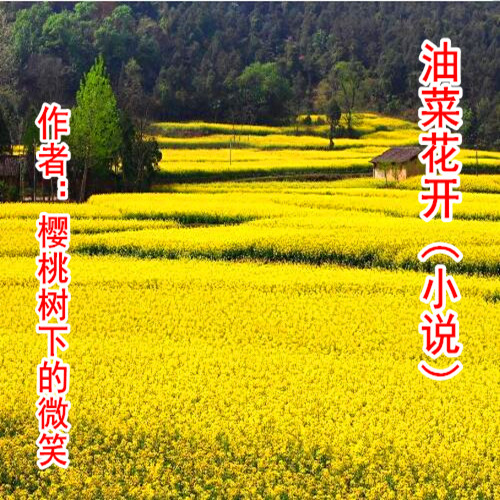 【柳岸?春】油菜花開(kāi)（小說(shuō)）