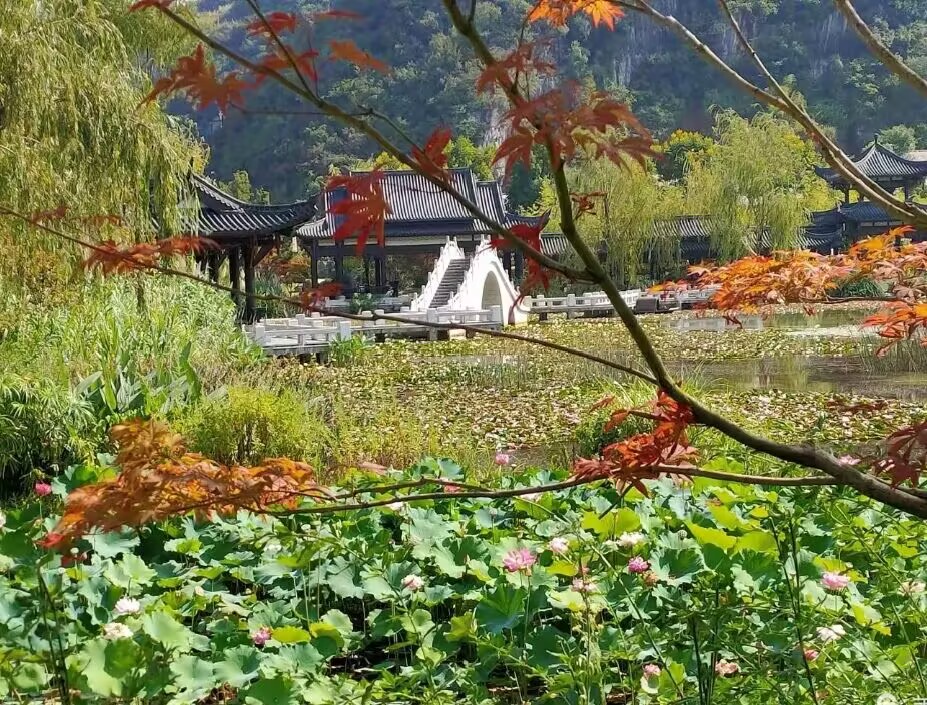 【好韻】夏（散文）