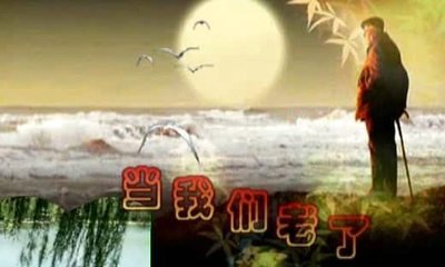 最美的太陽(yáng)（隨筆）