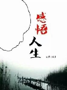 【金文·芳華】 報警的女人（散文）