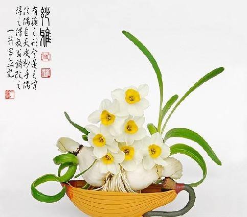 【荷塘】素心一捧，踏浪來（散文）