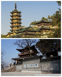 老歪帶著老伴游鎮(zhèn)江