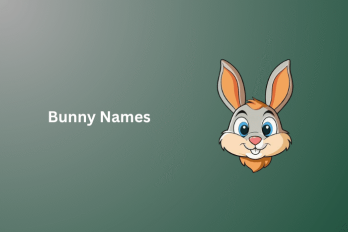 Bunny Names