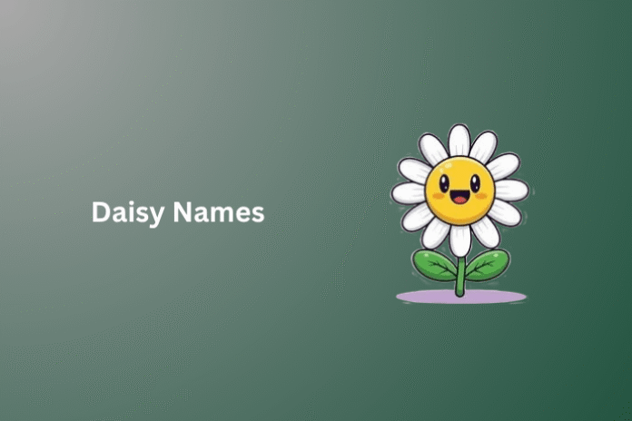 Daisy Names