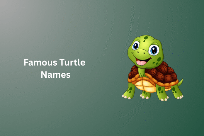 Famous Turtle Names