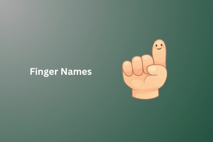 Finger Names