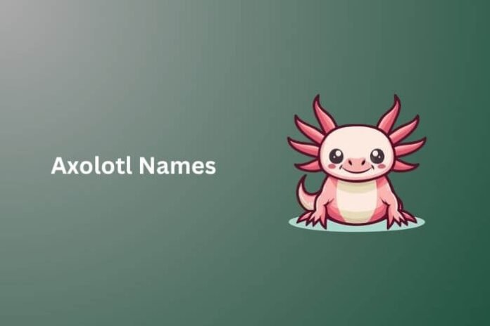 Axolotl Names