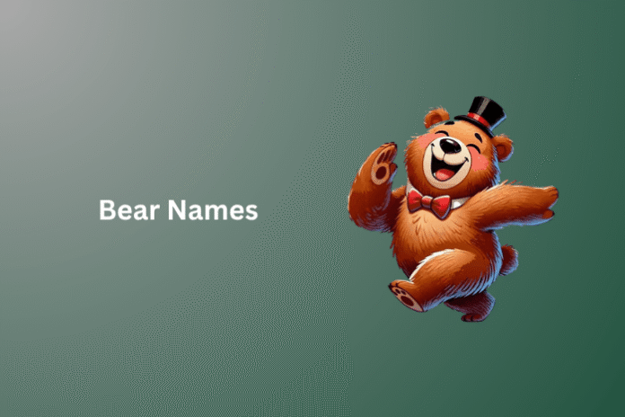 Bear Names