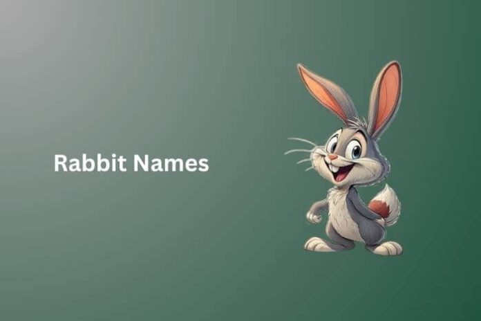 Rabbit Names
